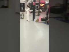 Spedizione con successo della linea di prova quattro in uno in Arabia Saudita